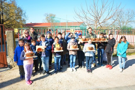 Fecskebarát Fehérvár program - a Táncsics suli is fecskefészkeket kapott